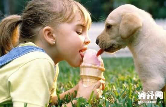 �����ѡһֻ���Լ��Ը�����Ĺ���