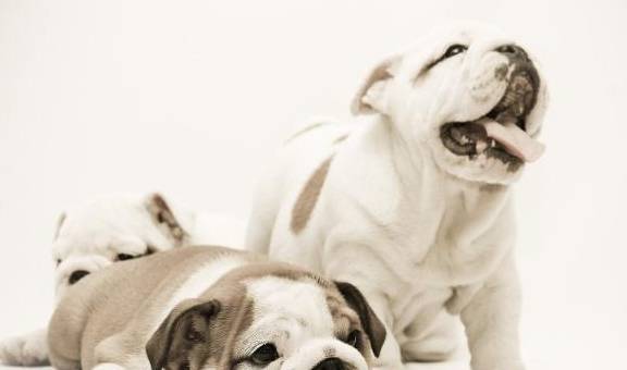 ϲʳTOP5ԹԣǴȻθ򻯴ٽ