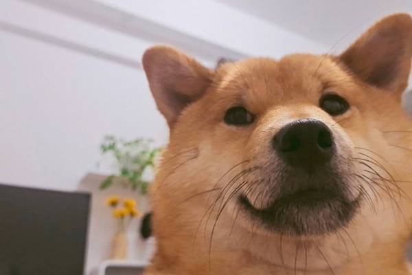 ȮΪʲôЦȮЦԭʲô