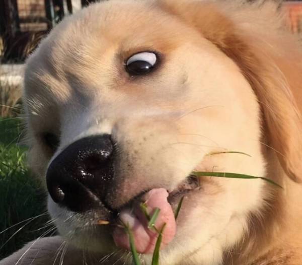 �����������ߴ���Ҫ���֣����Ǽҹ���ռ�˼�����