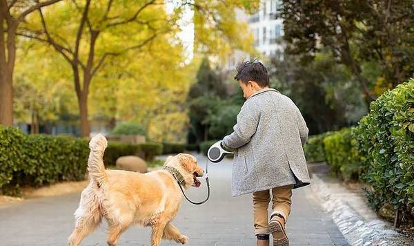 �����������ߴ���Ҫ���֣����Ǽҹ���ռ�˼�����