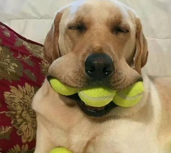 �����������ߴ���Ҫ���֣����Ǽҹ���ռ�˼�����