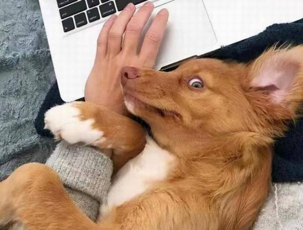 ������ϲ����ǰצ�����㣿ʵ�����������˵����