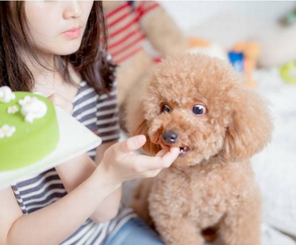 ��Ƣ�����á�û���˸��۸��ġ���󹷹������ǼҰ�û��