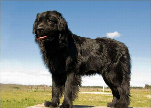 ������Щʹ�������϶̵Ĺ��������ٵĻ��Сѧ�����У�