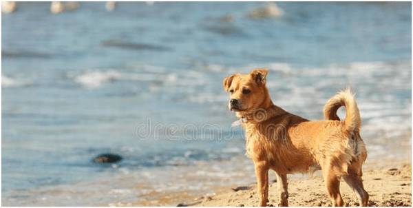 ���˼ҵĹ�������˩��Ϊʲô���Ҵ�