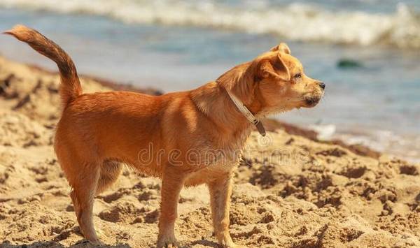 ���˼ҵĹ�������˩��Ϊʲô���Ҵ�