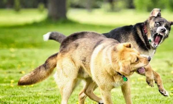 �����ö�����������ˣ� ���������˵���Ҫ���֣�