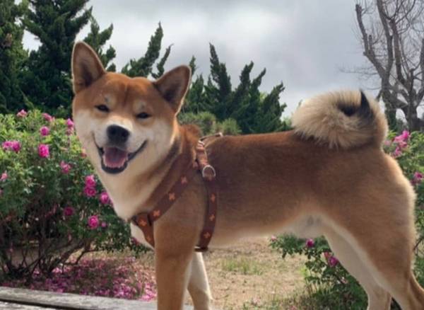 �����ö�����������ˣ� ���������˵���Ҫ���֣�