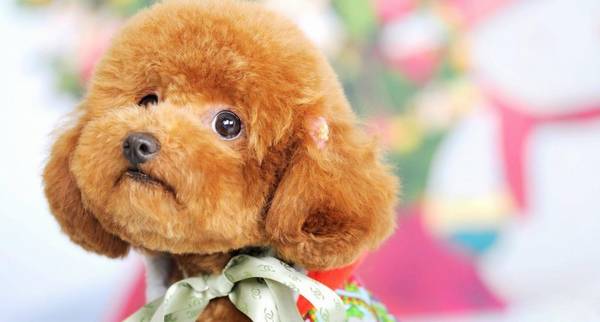 ٿŹˣʵҲӴ󲿷ֳȮµ5