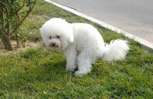 ܴǰΪɶҪתȦԭ򣬾ͱ