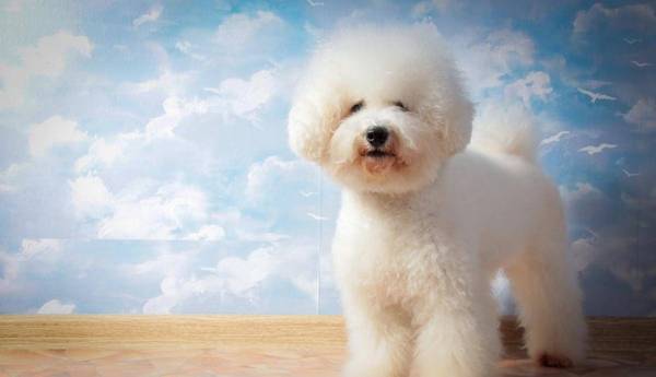 ܴǰΪɶҪתȦԭ򣬾ͱ