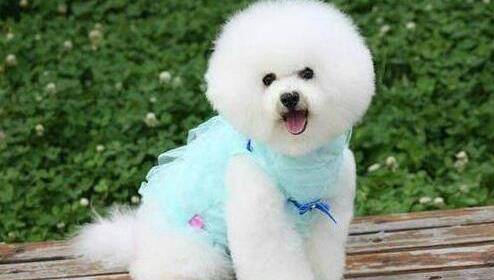 ܴǰΪɶҪתȦԭ򣬾ͱ