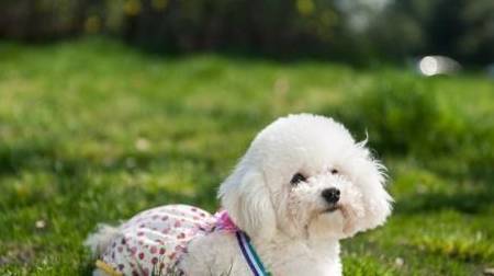 չĸֻҪЩã˾Ͳõˣ