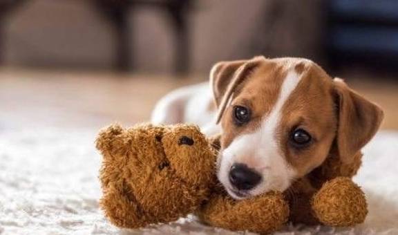 չĸֻҪЩã˾Ͳõˣ