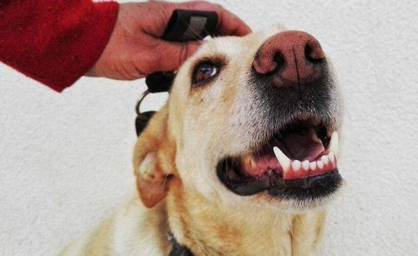 �⼸���������������ǳ���ϲ��������һ������ͷ��