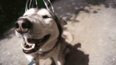 �⼸���������������ǳ���ϲ��������һ������ͷ��