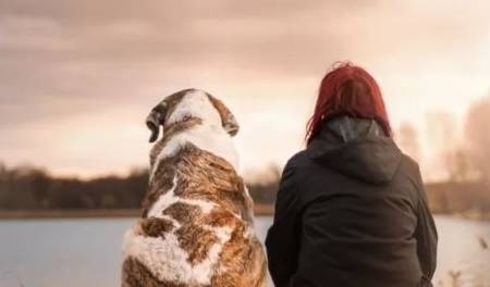 ʲôʲôȻпѧ֤ģһЩ㰡