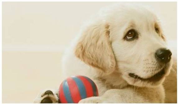 ʲôʲôȻпѧ֤ģһЩ㰡