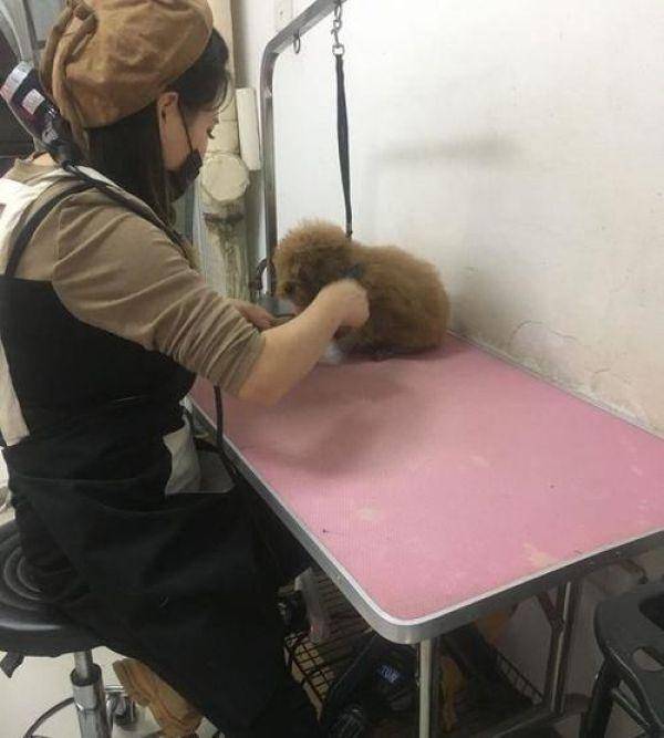 ��̩��ȥ��ë��С���̫���������е�������ģ������Ժ���ȫ����