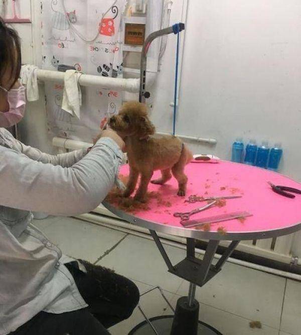 ��̩��ȥ��ë��С���̫���������е�������ģ������Ժ���ȫ����