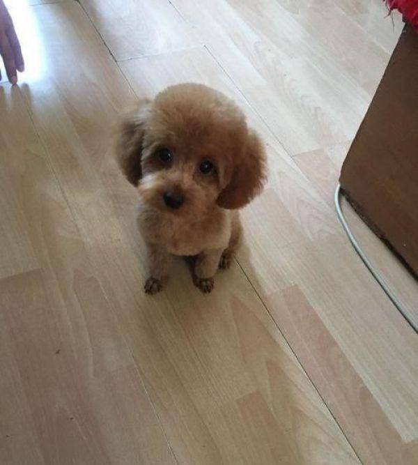 ��̩��ȥ��ë��С���̫���������е�������ģ������Ժ���ȫ����