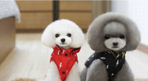 ﾿òô·洦ͱ׶˸ʲôأ