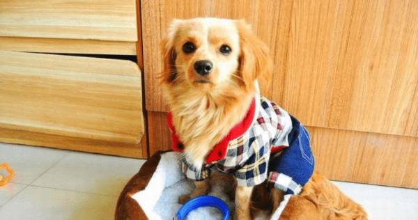 ﾿òô·洦ͱ׶˸ʲôأ