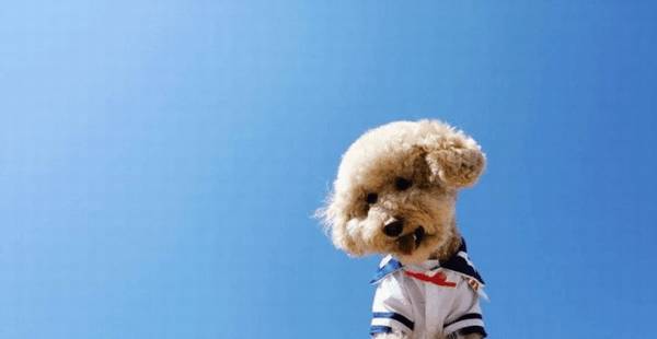 ﾿òô·洦ͱ׶˸ʲôأ