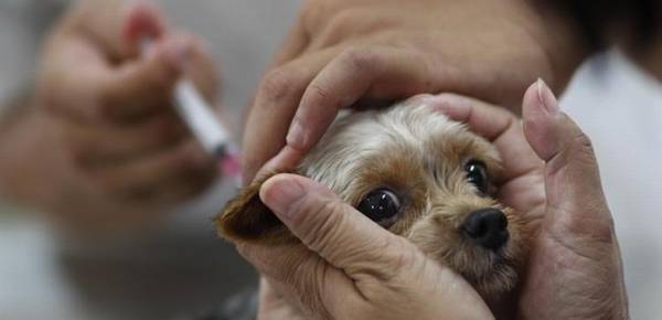 עĿȮ磬Ҳã˼Ҹչֱ