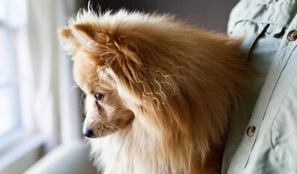 עĿȮ磬Ҳã˼Ҹչֱ