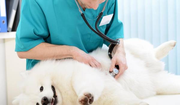 עĿȮ磬Ҳã˼Ҹչֱ