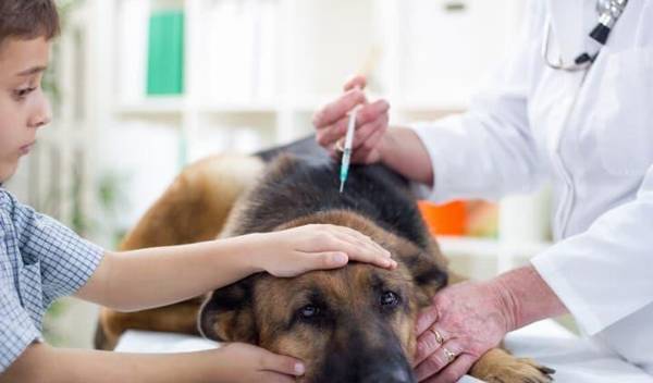 עĿȮ磬Ҳã˼Ҹչֱ