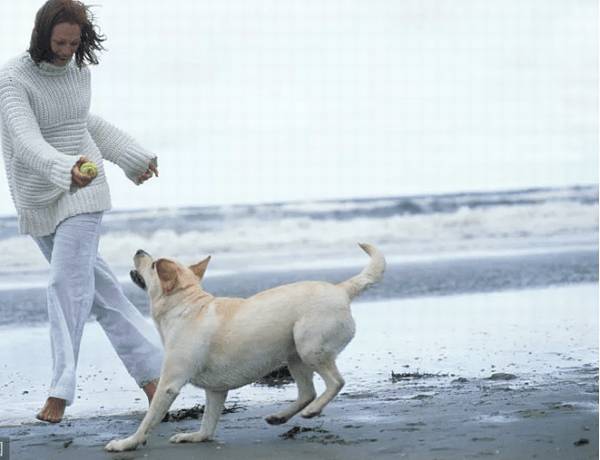 �����Ч��ֹ�����ĺ��ҷͽ�