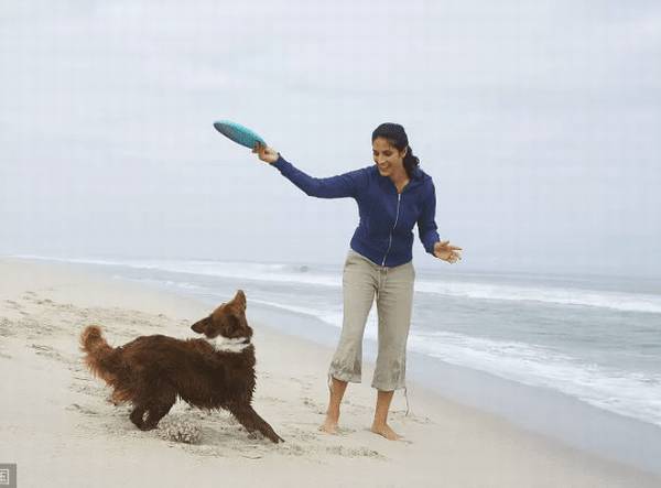 �����Ч��ֹ�����ĺ��ҷͽ�