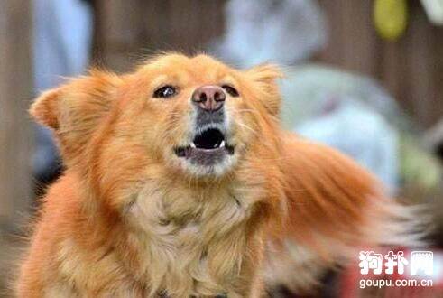 ��ֹ�����ͽеķ�������