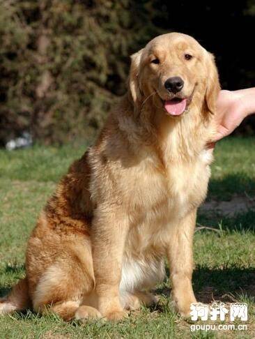 ���������ҽи���ô�죿