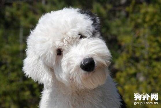 �����ֿ�ʼ�ҽ�����ô�죿ѵ���������ҽеķ���