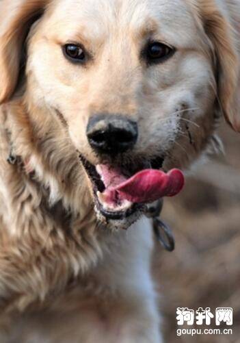 �����ֿ�ʼ�ҽ�����ô�죿ѵ���������ҽеķ���