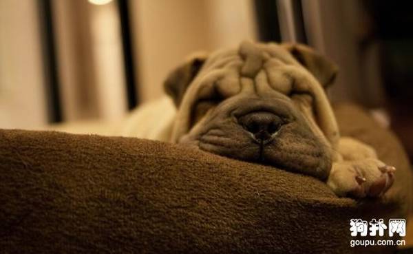 ���ѵ�������������������������