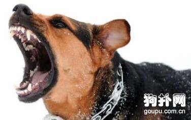 ����ϲ�����ҽ���ô�죿