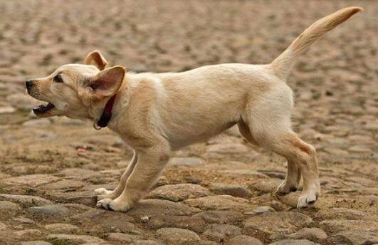 �����ҽ���ô��