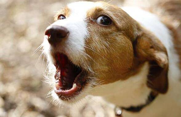 �����ҽ���ô��