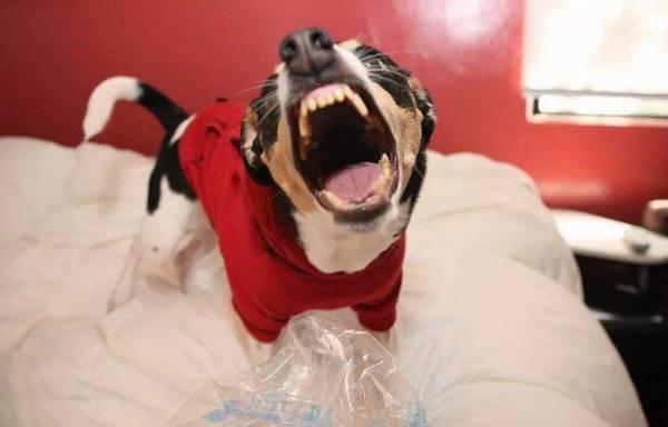 �����ҽ���ô��