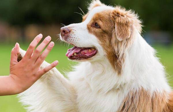 �����ҽ���ô��