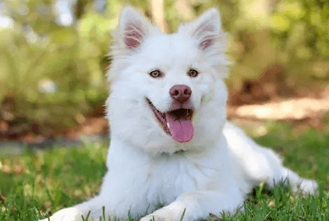 ��ҧ�˾�����˭������˭��