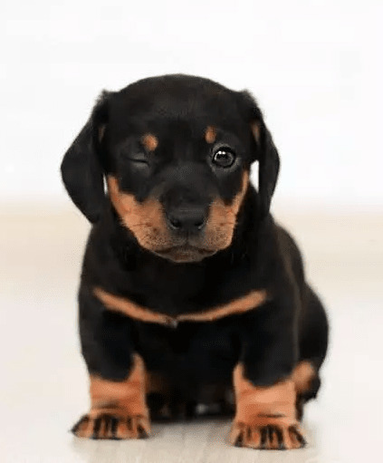 ��ҧ�˾�����˭������˭��