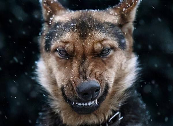 ����������Ҫ��ҧ�㡱������6��������ѧ�þͲ�������