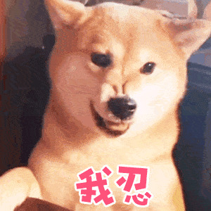 ����������Ҫ��ҧ�㡱������6��������ѧ�þͲ�������