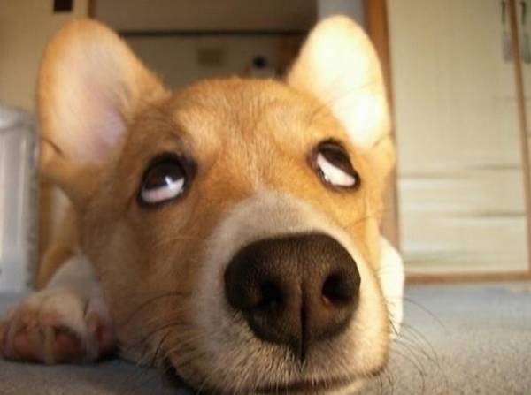 ����������Ҫ��ҧ�㡱������6��������ѧ�þͲ�������